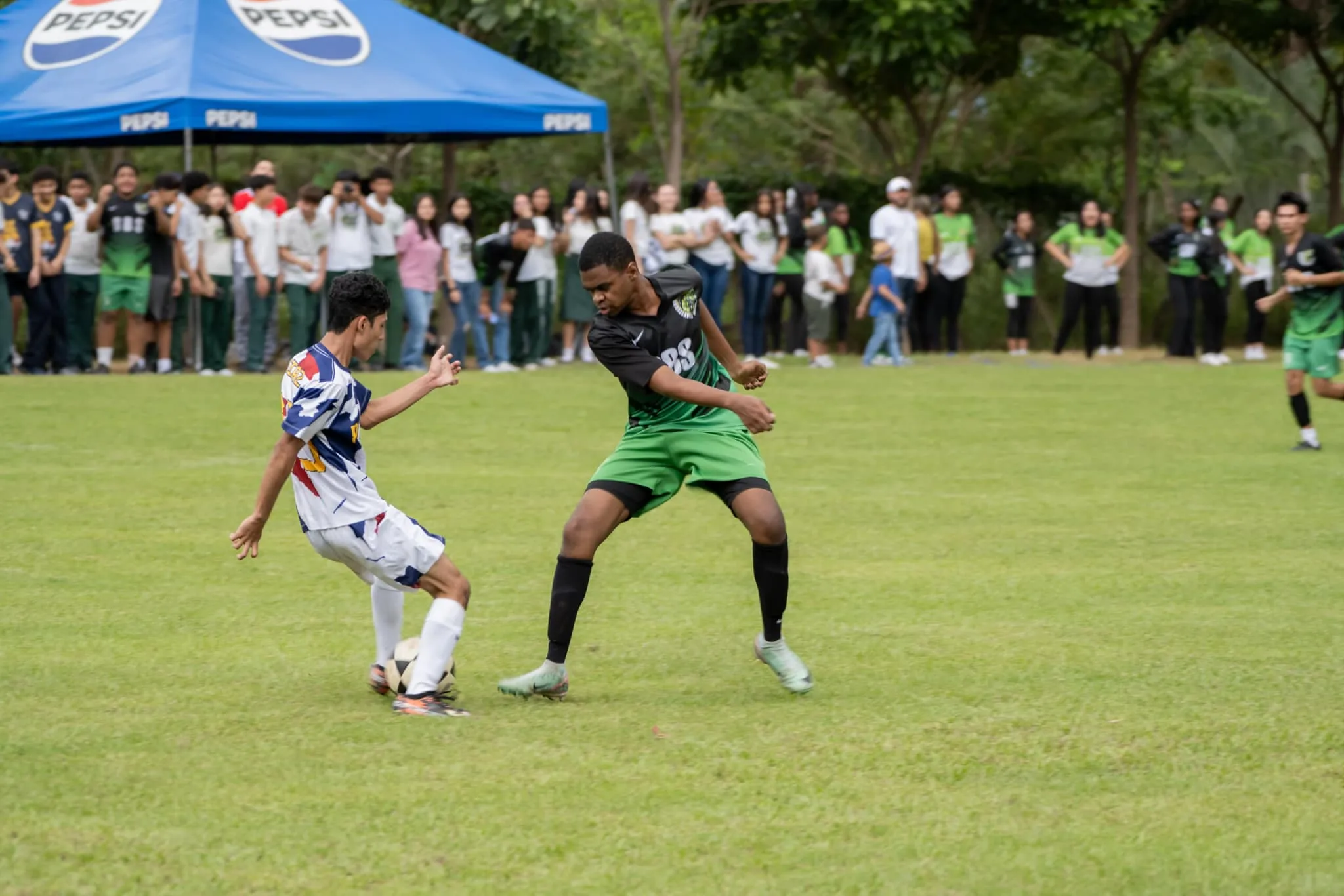 Brassavola football competition