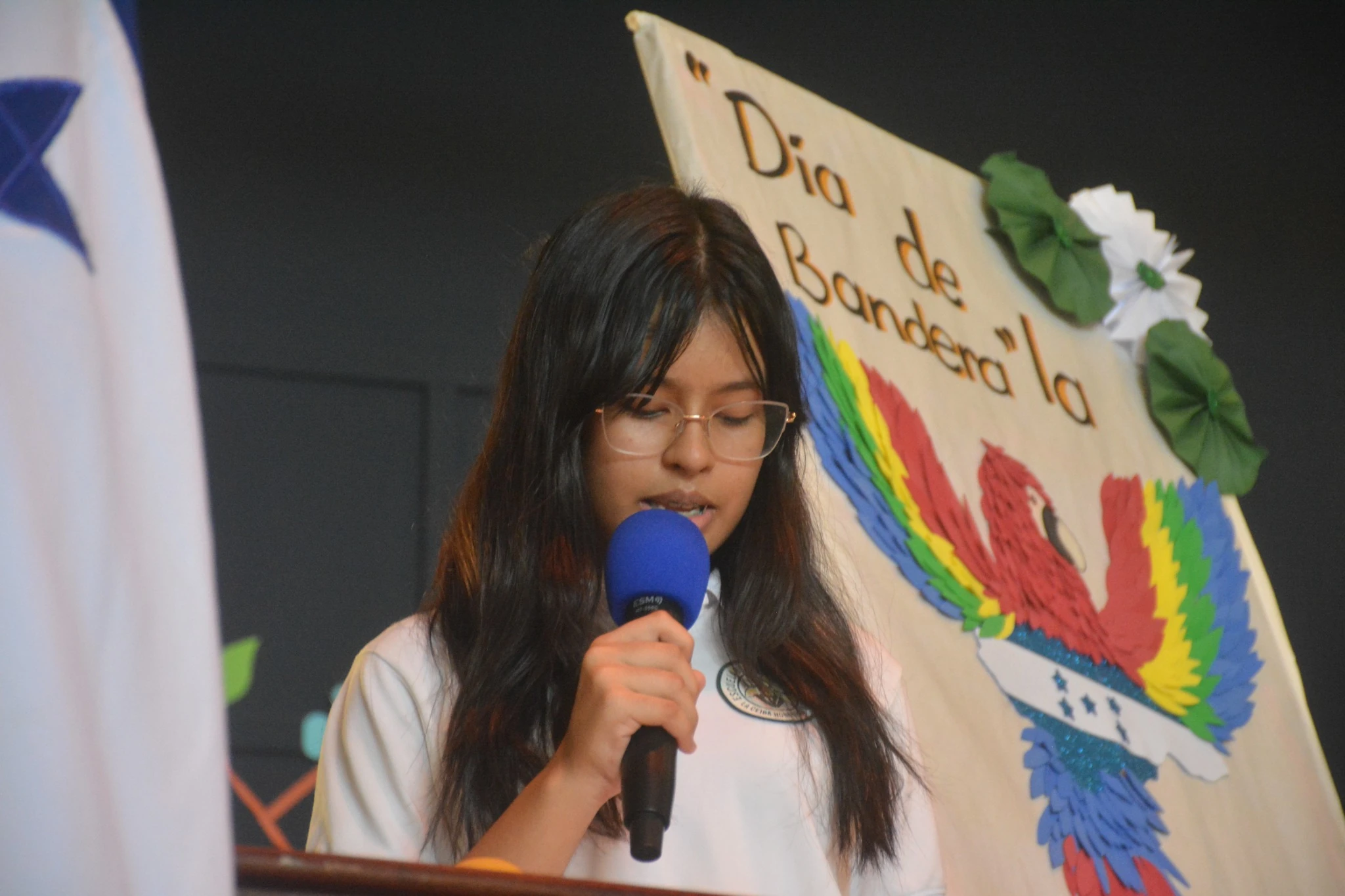 Student participation in the civic program