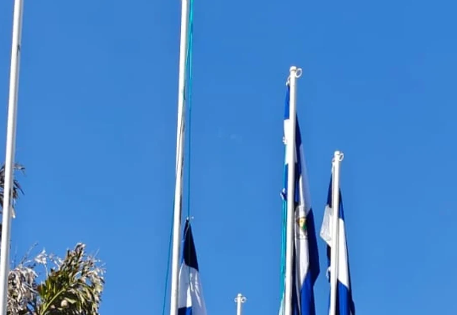 Honduran flags during Brassavola civic ceremony