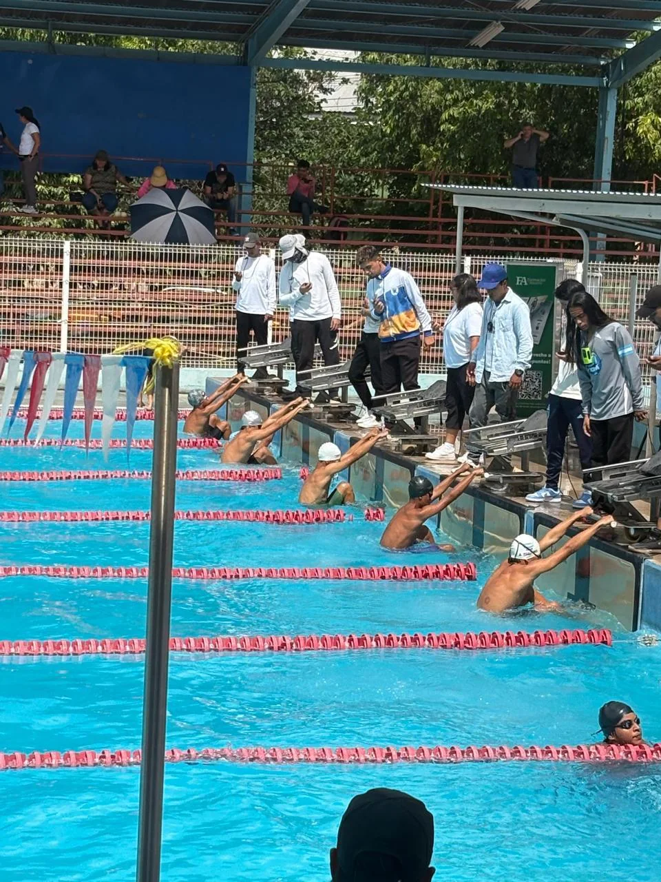 Práctica de natación en Brassavola