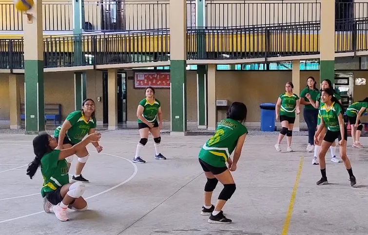Brassavola volleyball players in action