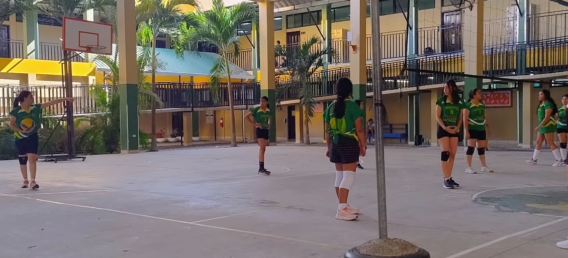 Brassavola volleyball activity